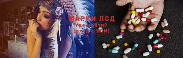 индика Нягань