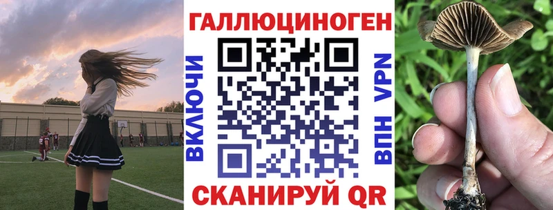 купить закладку  Щёкино  гидра вход  Галлюциногенные грибы Magic Shrooms 